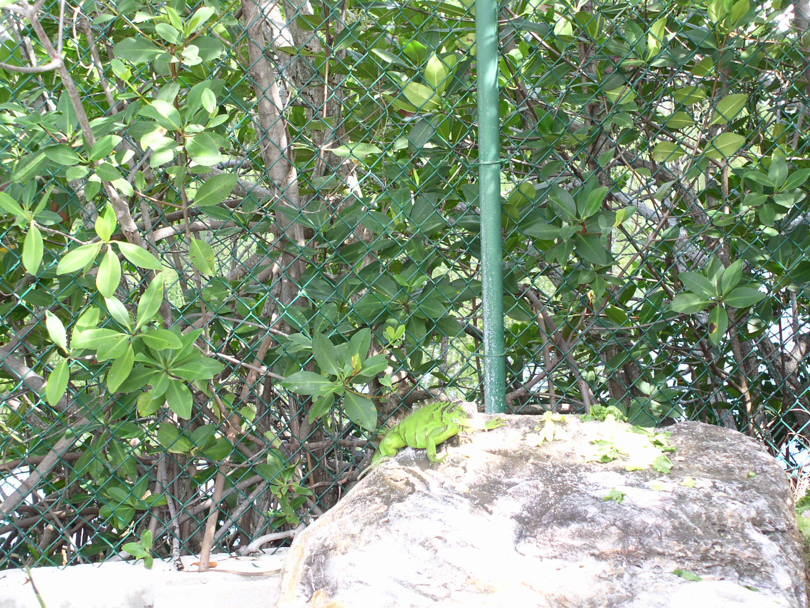 photo1